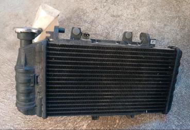 BMW-F800ST-E8ST-ABS-Kühler-inkl-Lüfter-TOP-1