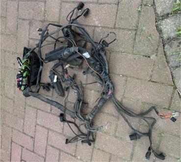 BMW R1100GS R 1100 GS / 259 / ABS - Kabelbaum
